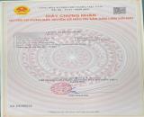 Bán đất Thanh Sơn - Kiến Thụy - Hải Phòng