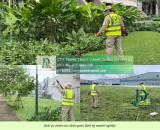 DỊCH VỤ CẮT CỎ – CẮT TỈA CÂY XANH TPHCM GIÁ RẺ
