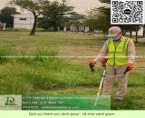 Dịch Vụ Cắt Cỏ Cưa Cây Thủ Đức TPHCM
