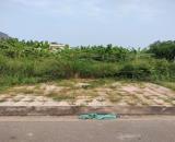 🔥 ĐẤT MẶT TIỀN ĐÔ ĐỐC LÂN – HÒA XUÂN | 100M² | ĐƯỜNG 10M5 + VỈA HÈ 5M | GIÁ CHỈ 6 TỶ!