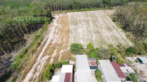 🔻1,2 TỶ🔻__HƠN 1300M² Đất CÓ THỔ CƯ GẦN KHU TDC PHƯỚC ĐÔNG - 4
