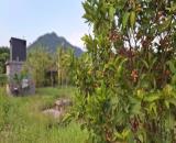 ĐẤT ĐẸP – GIÁ TỐT - CẦN BÁN NHANH LÔ ĐẤT TẠI Đường Hương Lộ 62, Xã Diên Thọ,  Diên Khánh,