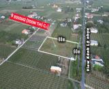 CHÍNH CHỦ BÁN ĐẤT THỔ CƯ SẴN SỔ MẶT TIỀN OTO TRÁNH TẠI AN LỤC LONG-CHÂU THÀNH, VIEW KÊNH