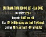 Thu 2 Tỷ/Tháng Từ Trại Heo 22ha