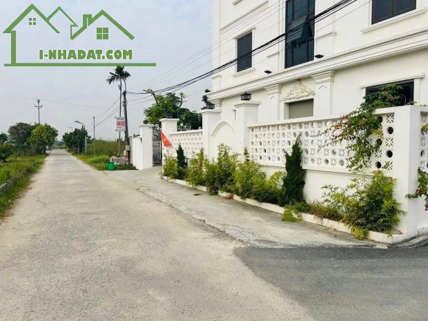 Bán đất Minh Đức - Nam Đồ Sơn - Hải Phòng - 2