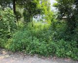 Bán lô đất có diện tích 100m2 ( thổ cư 50m) Tại Thôn Láng – Kim Long - Tam Dương – Vĩnh