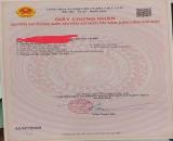 ❌❌❌❌Gần ga minh tân kiến minh  Hp