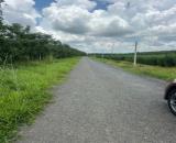 CHÍNH CHỦ CẦN BÁN GẤP 9.400M² MẶT TIỀN ĐT781 – NINH ĐIỀN, TÂY NINH